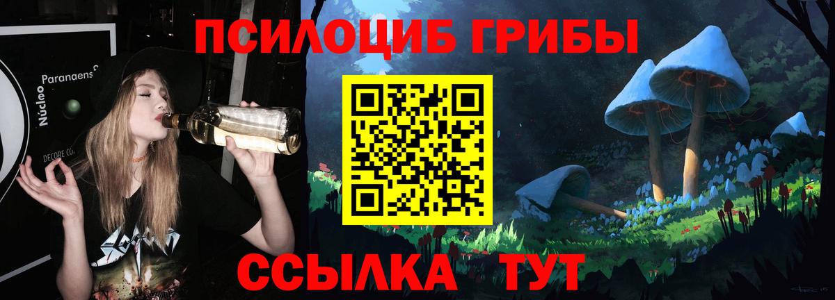 Псилоцибиновые грибы GOLDEN TEACHER  Вход с VPN  Светлоград  Галлюциногенные грибы MAGIC MUSHROOMS 